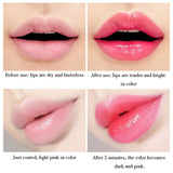 1 Aloe Magic Lip Balm